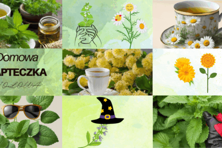 Zioła w domowej apteczce :mięta, rumianek, pokrzywa, melisa, lipa, nagietek, szałwia