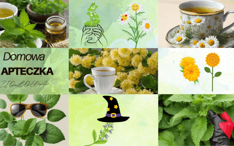 Zioła w domowej apteczce :mięta, rumianek, pokrzywa, melisa, lipa, nagietek, szałwia